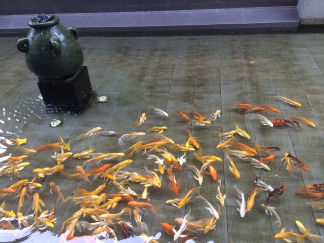 第563回 DVD研修 栞 第4条【万象我師】(ばんしょうわがし)