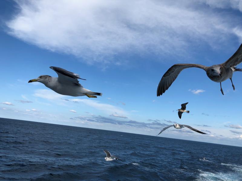 第572回 DVD研修「栞　第5条」～夫婦対鏡～