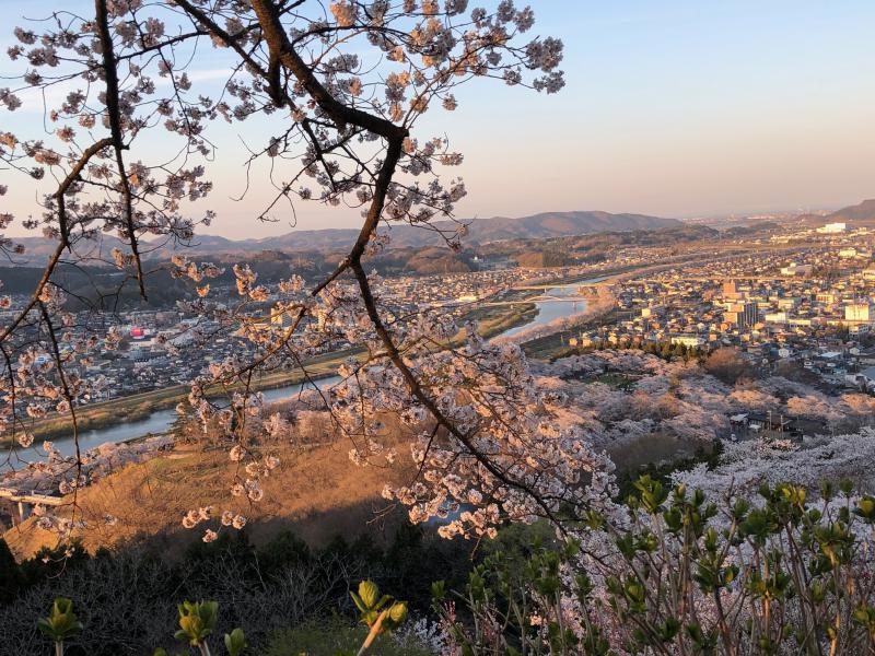 DVD研修 「万人幸福の栞 第7条」