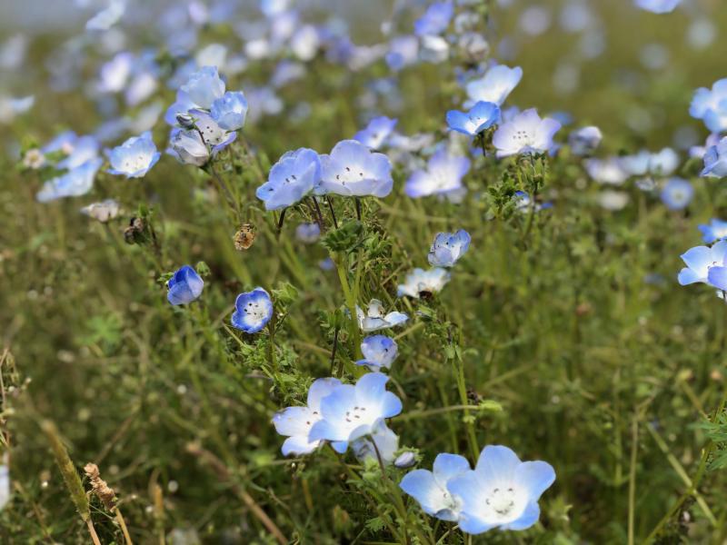 第596回 DVD研修 第9条「破約失福(はやくしっぷく)」