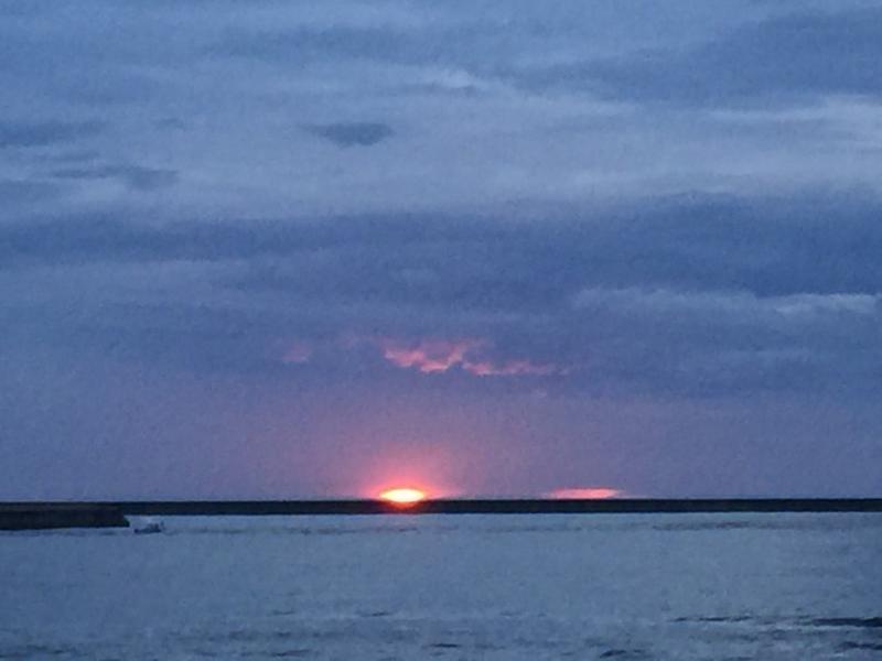 第627回 MS再開記念会員トークリレー｢倫理活動休止で感じたこと｣❄