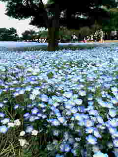 第628回WEB講話「倫理法人会の概要」松本真志 方面長❄