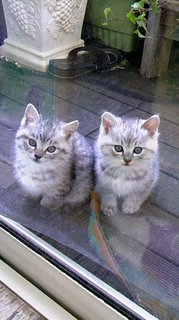 令和2年 ６月度相双倫理法人会 役員会