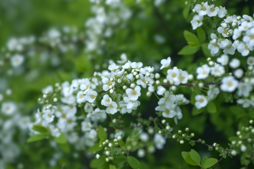 「明朗・愛和・喜働の実践」 埼玉県倫理法人会 花輪喜美江 様