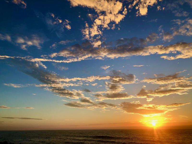 第830回 令和7年度活動計画発表・会長交代式